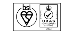 BSI Logo